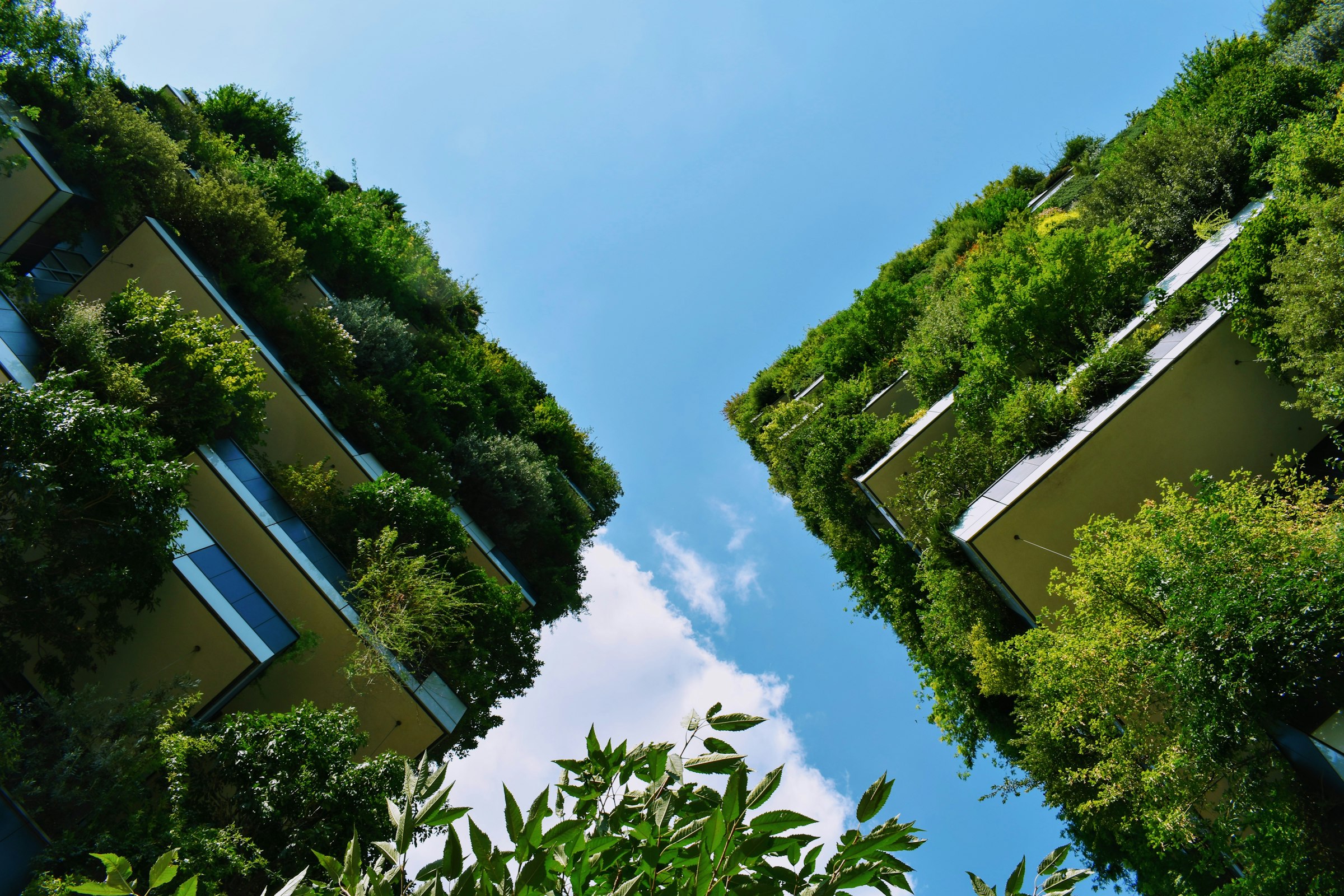 Environmental Stewardship